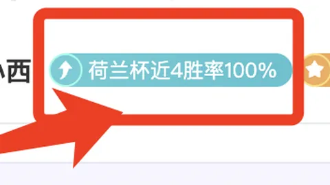 拜仁首战告捷：凯恩德甲首秀双响破门