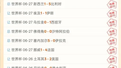 2026世界杯赛事前瞻：土耳其对美国进球数预测避雷点